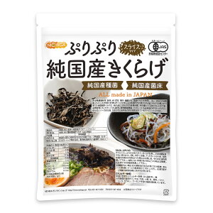 ՂՂ L@JAS  Y炰 XCX 100g S_͔| Y Yۏ [02] NICHIGA(j`K)