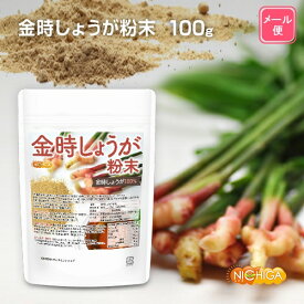 金時しょうが 粉末 100g 【送料無料】【メール便で郵便ポストにお届け】【代引不可】【時間指定不可】 ［生姜の王様］ 金時生姜100% 残留農薬検査実施済み [04] NICHIGA(ニチガ)