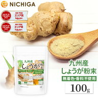 九州産 しょうが粉末 100g 着色料不使用 香料不使用 保存料不使用 ジンジャー 生姜100% 温活 ジンゲロー…