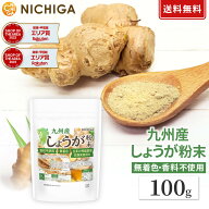 九州産 しょうが粉末 100g 【送料無料】【メールで郵便ポストにお届け】【代引不可】【時間指定不可】着…