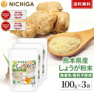 熊本県産しょうが粉末 100g×3袋【送料無料】【メールで郵便ポストにお届け】【代引不可】【時間指定不可…