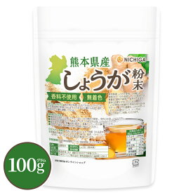 熊本県産しょうが粉末 100g 【送料無料】【メールで郵便ポストにお届け】【代引不可】【時間指定不可】着色料香料不使用 残留農薬試験実施済み ジンジャー [04] NICHIGA(ニチガ)