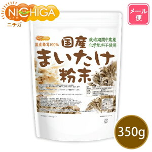 Y܂ 350g yzy[ւŗXփ|Xgɂ͂zyszyԎwsz ͔|Ԓ_Ew엿sgp kCY100 [05] NICHIGA(j`K)