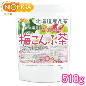 kCYz IBY~ ~Ԓ 510g [02] NICHIGA(j`K)