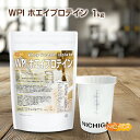＜シェイカー セット＞ WPIホエイプロテイン 1kg 【送料無料(沖縄を除く)】 プレーン味 牛成長ホルモン不使用 (人口甘味料・香料不使用・無添加) WPI NICHIGA(ニチガ) TK1