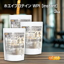 ホエイプロテインWPI-instant 1kg×3袋 【送料無料】【沖縄配送不可】 牛成長ホルモン不使用 (人口甘味料・香料不使用) プレーン NICHIGA(ニチガ) TK2