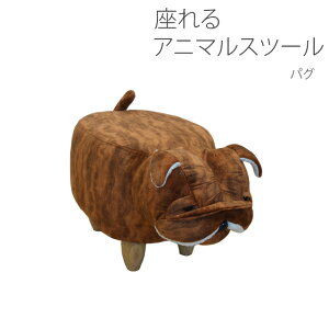 Aj}Xc[ pO uE CX Xc[ 1PXc[ Ibg}  TChe[u u CX `FA RpNg CeA