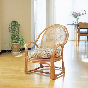 A[`FA[ Y-36 CguE  ىƋ ֎q ֎q CX AWArO[ ^  Ai i