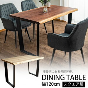 _CjOe[u XNGAr 120cm ؍ He[u X`[r I[N EH[ibg