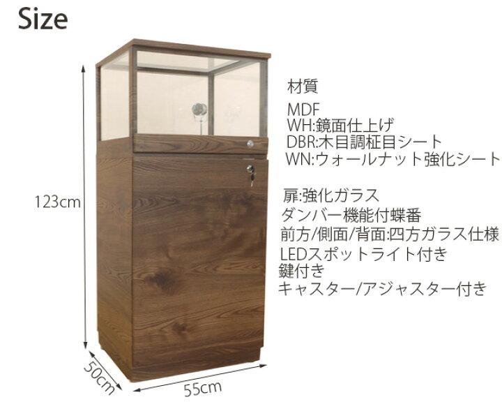 楽天市場】コレクションボード コレクションケース キュリオケース 鍵 