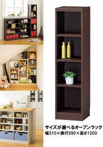 }`I[vbN Tanalio ^iI TNL-1231 DK sir-4151790s2 I[vbN {I bN J[{bNX [ Ƌ  k _ Ƌ CeA i` eCXg V IXX