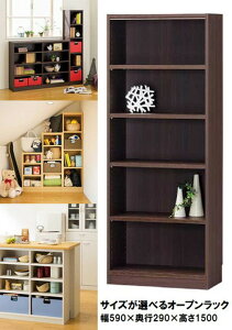 }`I[vbN Tanalio ^iI TNL-1559 DK sir-4152780s2 I[vbN {I bN J[{bNX [ Ƌ  k _ Ƌ CeA i` eCXg V IXX