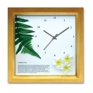 AWA nCA CeAv DECLOCK U[t@[ NA vA CG[ DC-1208 ۏؕt X JtF EW r[ ze @l kar-3096927s2 A[gpl A[g{[h ǎ t