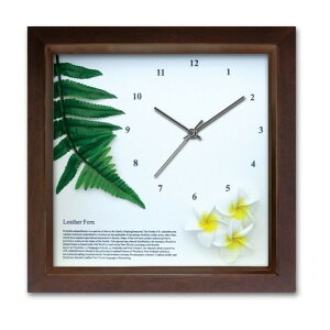 AWA nCA CeAv DECLOCK U[t@[ BR vA CG[ DC-1211 ۏؕt X JtF EW r[ ze @l kar-3096928s2 A[gpl A[g{[h ǎ t