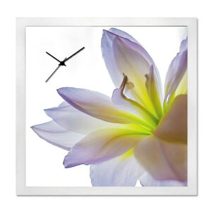 A[g+v A-CLOCK Lily zCg AC-1001 ۏؕt X JtF EW r[ ze @l kar-5620671s1 |v uv |v  k _ Ƌ CeA i` eCXg V