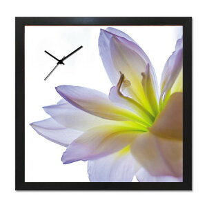A[g+v A-CLOCK Lily ubN AC-1001 ۏؕt X JtF EW r[ ze @l kar-5620671s2 |v uv |v  k _ Ƌ CeA i` eCXg V