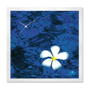 A[g+v A-CLOCK Frangipani zCg AC-1002 ۏؕt X JtF EW r[ ze @l kar-5620672s1 |v uv |v  k _ Ƌ CeA i` eCX