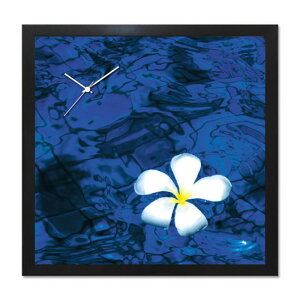 A[g+v A-CLOCK Frangipani ubN AC-1002 ۏؕt X JtF EW r[ ze @l kar-5620672s2 |v uv |v  k _ Ƌ CeA i` eCX