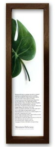 アジアン ハワイアン インテリアアート ハディアフータン モンステラ1 ブラウン PZ-3001 店舗 カフェ ラウンジ ロビー ホテル 法人 kar-2923017s1 アートパネル アートボード 壁紙 装飾フィルム 送
