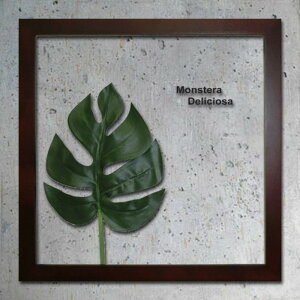 �C���e���A�O���[���A�[�g ForestDeco Monstera Deliciosa1 �u���E�� FD-1001 �X�� �J�t�F ���E���W ���r�[ �z�e�� �@�l kar-3060941s1 �A�[�g�p�l�� �A�[�g�{�[�h �ǎ� �����t�B���� �������� �k�� ���_�� 