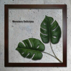 �C���e���A�O���[���A�[�g ForestDeco Monstera Deliciosa2 �u���E�� FD-1002 �X�� �J�t�F ���E���W ���r�[ �z�e�� �@�l kar-3060942s1 �A�[�g�p�l�� �A�[�g�{�[�h �ǎ� �����t�B���� �������� �k�� ���_�� 
