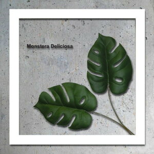 �C���e���A�O���[���A�[�g ForestDeco Monstera Deliciosa2 �z���C�g FD-3002 �X�� �J�t�F ���E���W ���r�[ �z�e�� �@�l kar-3060942s4 �A�[�g�p�l�� �A�[�g�{�[�h �ǎ� �����t�B���� �������� �k�� ���_�� 
