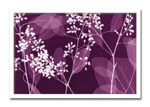 CeAA[g Steven N Meyers Eucalyptus Branches qt AS-11363 X JtF EW r[ ze @l kar-3097168s1 A[gpl A[g{[h ǎ tB  k _ Ƌ C