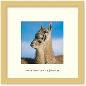�C���e���A �A�[�g�R���N�V���� �~�j Guanacos in Patagonia Chili �q���t PF-1026 �X�� �J�t�F ���E���W ���r�[ �z�e�� �@�l kar-3097393s1 �A�[�g�p�l�� �A�[�g�{�[�h �ǎ� �����t�B���� �������� �k�� ��