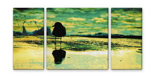 CANVAS ART �L�����o�X�A�[�g Seagull �J���� M�T�C�Y W600×H300 3���g US-1009 �X�� �J�t�F ���E���W ���r�[ �z�e�� �@�l kar-4999358s1 �A�[�g�p�l�� �A�[�g�{�[�h �ǎ� �����t�B���� �������� �k�� ���_��