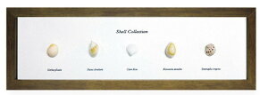 �C���e���A �~�j�A�[�g�R���N�V���� Shell Collection �u���E�� PZ-2002 �X�� �J�t�F ���E���W ���r�[ �z�e�� �@�l kar-5093262s2 �A�[�g�p�l�� �A�[�g�{�[�h �ǎ� �����t�B���� �������� �k�� ���_�� ��