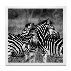 CeAA[g RAKUDECO NfRV[Y Zebra zCg RD-1007 X JtF EW r[ ze @l kar-5620954s1 A[gpl A[g{[h ǎ tB  k _ 