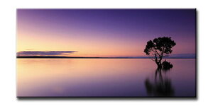 CANVAS ART �L�����o�X�A�[�g Sun Set �T���Z�b�g M�T�C�Y W600×H300×D20mm US-5008 �X�� �J�t�F ���E���W ���r�[ �z�e�� �@�l kar-6248595s2 �A�[�g�p�l�� �A�[�g�{�[�h �ǎ� �����t�B���� �������� �k�� ��