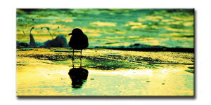 CANVAS ART �L�����o�X�A�[�g Seagull �J���� M�T�C�Y W600×H300×D20mm US-5009 �X�� �J�t�F ���E���W ���r�[ �z�e�� �@�l kar-6248602s2 �A�[�g�p�l�� �A�[�g�{�[�h �ǎ� �����t�B���� �������� �k�� ���_�� 