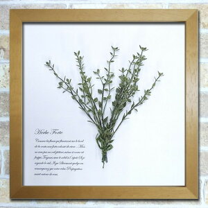 フェイクグリーン グリーンアート Herbe Forte タイム ナチュラル HF-1002 店舗 カフェ ラウンジ ロビー ホテル 法人 kar-6294488s1 アートパネル アートボード 壁紙 装飾フィルム 送料無料 北欧 モダ