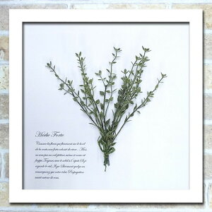 フェイクグリーン グリーンアート Herbe Forte タイム ホワイト HF-2002 店舗 カフェ ラウンジ ロビー ホテル 法人 kar-6294488s2 アートパネル アートボード 壁紙 装飾フィルム 送料無料 北欧 モダン