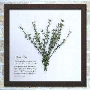 フェイクグリーン グリーンアート Herbe Forte タイム ブラウン HF-3002 店舗 カフェ ラウンジ ロビー ホテル 法人 kar-6294488s3 アートパネル アートボード 壁紙 装飾フィルム 送料無料 北欧 モダン