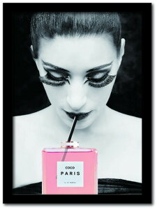 Vl CHANEL Fashion Photography series FS-1004BK-A4 t[J[ ubN TCY A4 X JtF EW r[ ze @l kar-7486254S1 A[gpl A[g{[h ǎ tB  