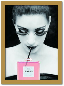 Vl CHANEL Fashion Photography series FS-1004NA-A4 t[J[ i` TCY A4 X JtF EW r[ ze @l kar-7486254S4 A[gpl A[g{[h ǎ tB 