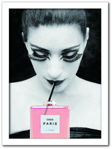 Vl CHANEL Fashion Photography series FS-2004WH-A3 t[J[ zCg TCY A3 X JtF EW r[ ze @l kar-7486254S6 A[gpl A[g{[h ǎ tB  