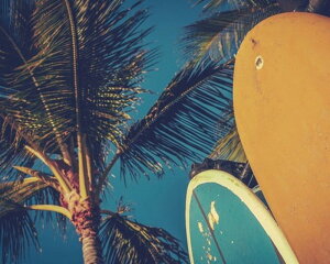 LoXA[g Petit Canvas Art T[t{[h 500x400x25mm ZPT-61546 bic-6936359s1 A[gpl A[g{[h ǎ tB  k _ Ƌ CeA i` eCXg V 