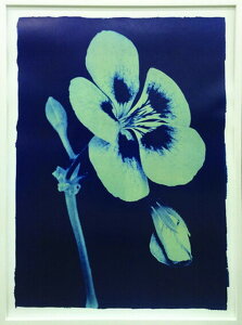 �A�[�g�t���[�� Thomas Hager Open Geranium ��2 2002 730x980x30mm ITH-60617 bic-6942515s1 �A�[�g�p�l�� �A�[�g�{�[�h �ǎ� �����t�B���� �������� �k�� ���_�� �Ƌ� �C���e���A �i�`������ �e�C�X�g �V���� �I