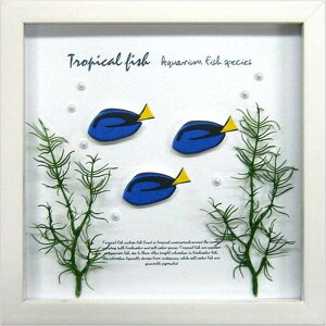 �A�N�A�t���[�� �u���[�^���M Aqua Frame Blue Tang 220x220x20mm ZAF-50792 bic-7062398s1 �A�[�g�p�l�� �A�[�g�{�[�h �ǎ� �����t�B���� �������� �k�� ���_�� �Ƌ� �C���e���A �i�`������ �e�C�X�g �V���� 