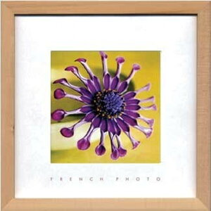 A[gt[ t`tHgOtB French Photography Violet Green 220x220x20mm ZFP-51885 bic-7093188s1 A[gpl A[g{[h ǎ tB  k _ Ƌ CeA i`