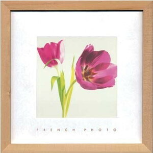 �A�[�g�t���[�� �t�����`�t�H�g�O���t�B French Photography Puple Tulips 220x220x20mm ZFP-51894 bic-7093196s1 �A�[�g�p�l�� �A�[�g�{�[�h �ǎ� �����t�B���� �������� �k�� ���_�� �Ƌ� �C���e���A �i�`����