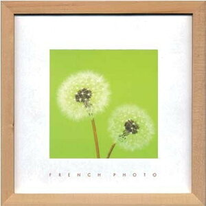 �A�[�g�t���[�� �t�����`�t�H�g�O���t�B French Photography Dandelions 220x220x20mm ZFP-51913 bic-7093213s1 �A�[�g�p�l�� �A�[�g�{�[�h �ǎ� �����t�B���� �������� �k�� ���_�� �Ƌ� �C���e���A �i�`������ 