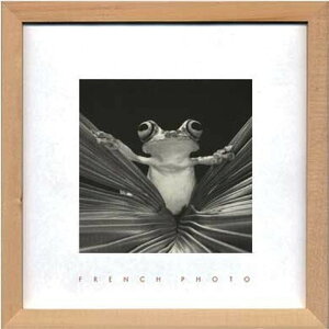 �A�[�g�t���[�� �t�����`�t�H�g�O���t�B French Photography Tree Frog Queen 220x220x20mm ZFP-51922 bic-7093221s1 �A�[�g�p�l�� �A�[�g�{�[�h �ǎ� �����t�B���� �������� �k�� ���_�� �Ƌ� �C���e���A �i�`��