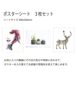 |X^[Zbg Poster Mysa 500x400mmp 3Zbg PMS-61915 bic-7894524s1 A[gpl A[g{[h ǎ tB  k _ Ƌ CeA i` eCXg V IXX 