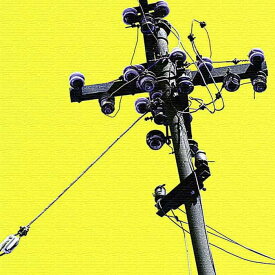 楽天市場 電柱 番号 検索 インテリア 寝具 収納 の通販
