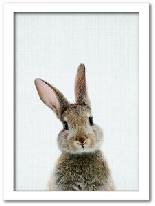 Animal Children series Rabbit ETM CB 1001WH t[J[FzCg TCYFA4 X JtF EW r[ ze @l kar-8238762s2 A[gpl A[g{[h ǎ tB  k