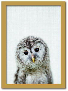 Animal Children series Owl tNE CB 1003NA t[J[Fi` TCYFA4 X JtF EW r[ ze @l kar-8238779s1 A[gpl A[g{[h ǎ tB  k